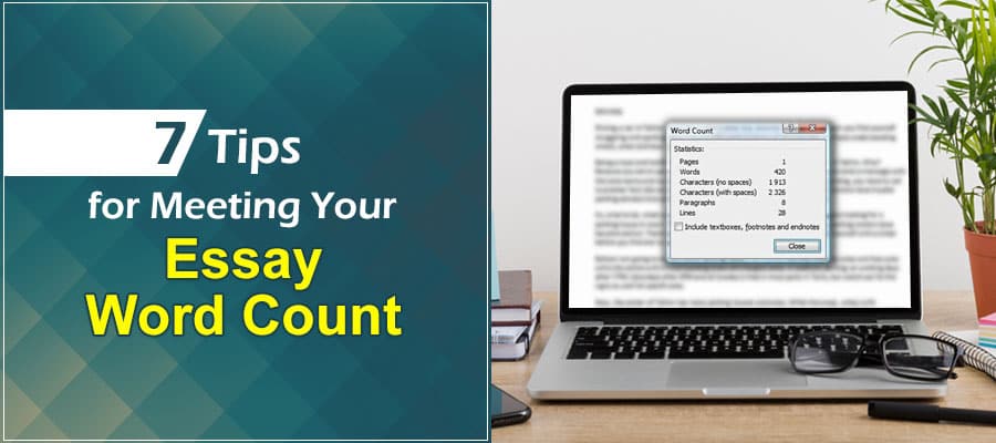 Make Your Essay LONGER